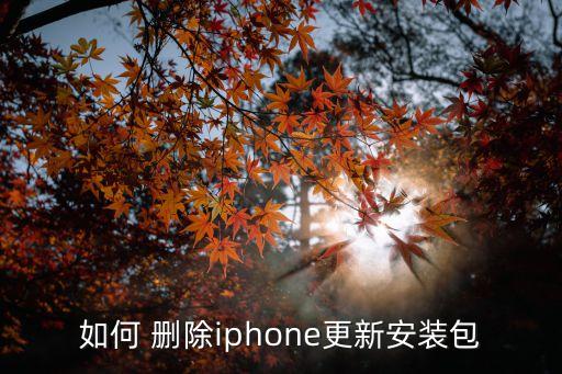 如何 删除iphone更新安装包