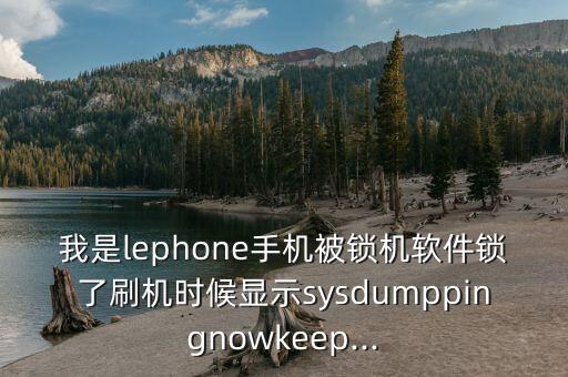 我是lephone手机被锁机软件锁了刷机时候显示sysdumppingnowkeep...
