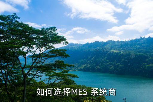 如何选择MES 系统商