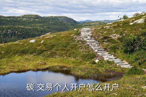 碳 交易个人开户怎么开户