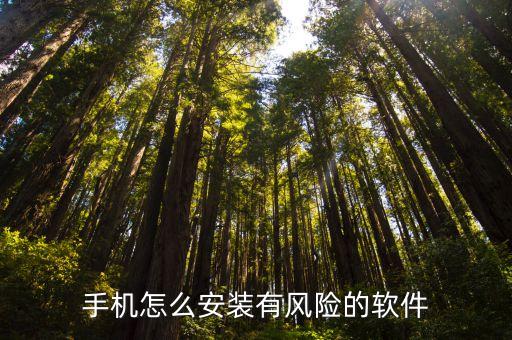 手机怎么安装有风险的软件