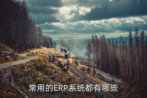 中国邮政erp系统软件,Erp系统软件