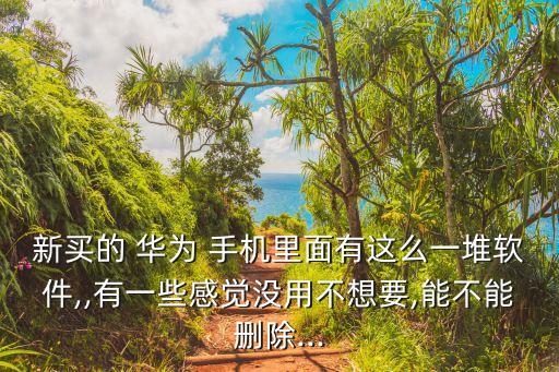新买的 华为 手机里面有这么一堆软件,,有一些感觉没用不想要,能不能删除...