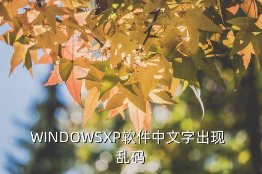 电脑有个系统软件乱码,win7系统软件字体乱码