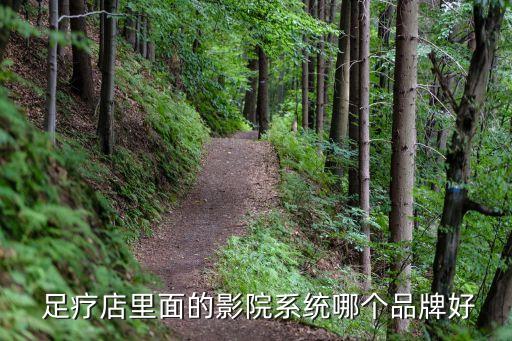  足疗店里面的影院系统哪个品牌好