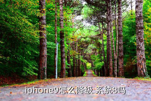 iphone9怎么降级 系统8吗
