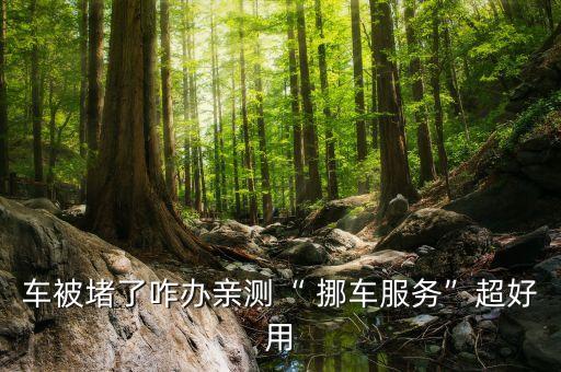 济南挪车二维码系统软件