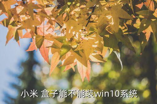  小米 盒子能不能装win10系统