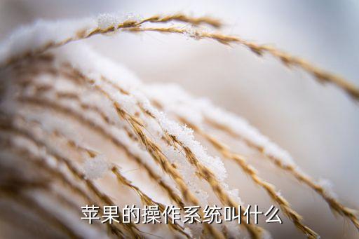 苹果采用的什么系统软件,仿真苹果手机系统软件