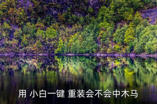 小白重装系统软件安全吗,小白一键重装系统软件v7.0.0.0
