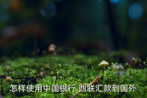 怎样使用中国银行 西联汇款到国外
