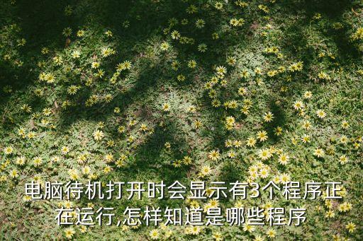  电脑待机打开时会显示有3个程序正在运行,怎样知道是哪些程序