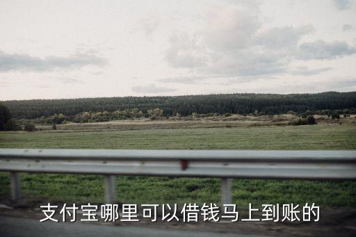 融支付系统软件下载,silkpay支付软件下载