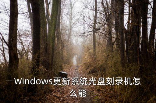 Windows更新系统光盘刻录机怎么能