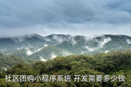 社区团购小程序系统 开发需要多少钱