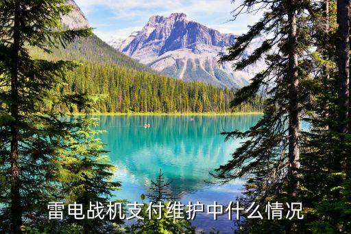雷电战机支付维护中什么情况