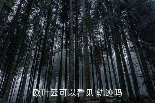 欧叶云可以看见 轨迹吗