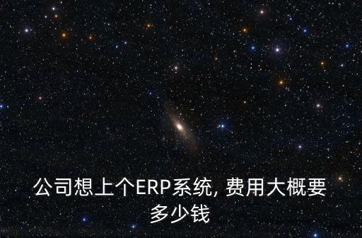 公司想上个ERP系统, 费用大概要多少钱