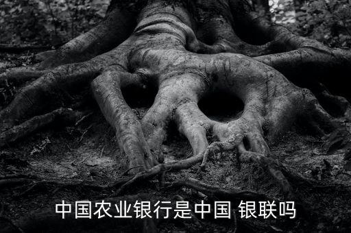 中国农业银行是中国 银联吗