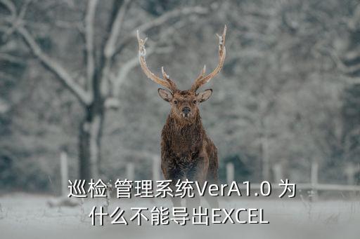  巡检 管理系统VerA1.0 为什么不能导出EXCEL