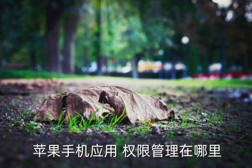  苹果手机应用 权限管理在哪里