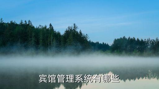 酒店系统软件都有哪些,酒店前台接待系统软件有哪些