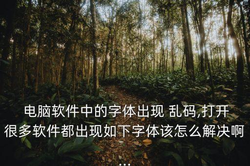 电脑系统软件全是乱码
