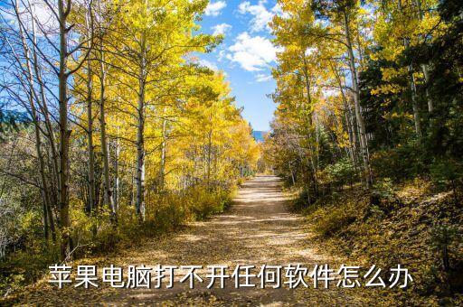 苹果电脑打不开任何软件怎么办