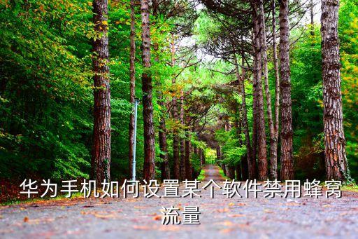  华为手机如何设置某个软件禁用蜂窝 流量