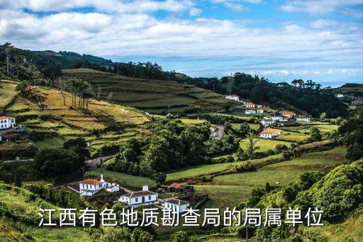 江西有色地质勘查局的局属单位