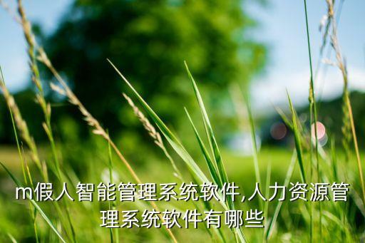 gom假人智能管理系统软件,人力资源管理系统软件有哪些?