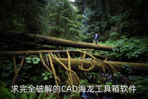 求完全破解的CAD海龙工具箱软件