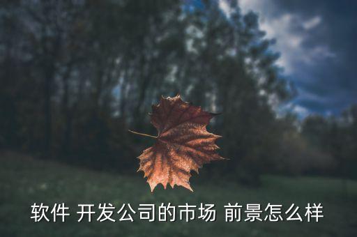 软件 开发公司的市场 前景怎么样