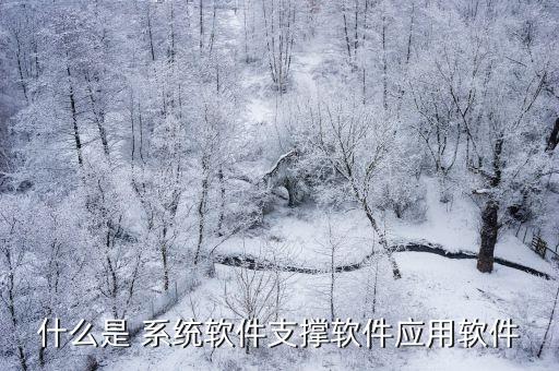 什么是 系统软件支撑软件应用软件