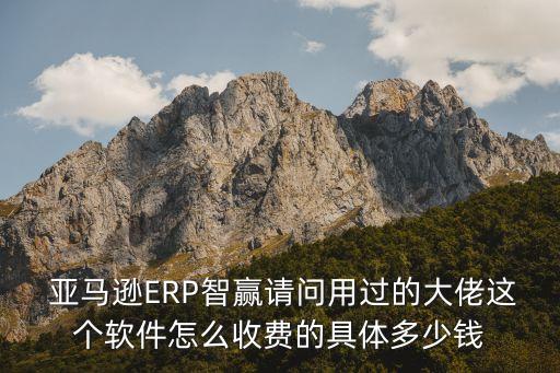  亚马逊ERP智赢请问用过的大佬这个软件怎么收费的具体多少钱