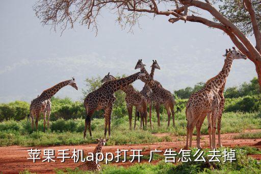  苹果手机app打开 广告怎么去掉
