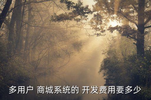 系统软件商城开发,如何开发erp系统软件