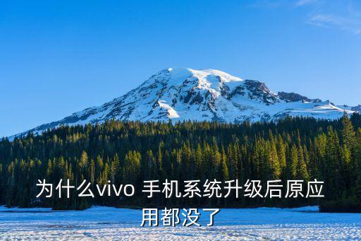 为什么vivo 手机系统升级后原应用都没了
