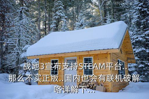  战地3宣布支持STEAM平台..那么不买正版..国内也会有联机破解咯详解下...