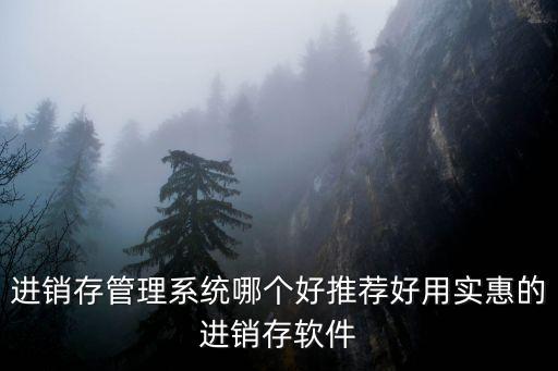 进销存管理系统哪个好推荐好用实惠的进销存软件