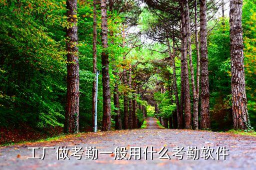工厂做考勤一般用什么考勤软件