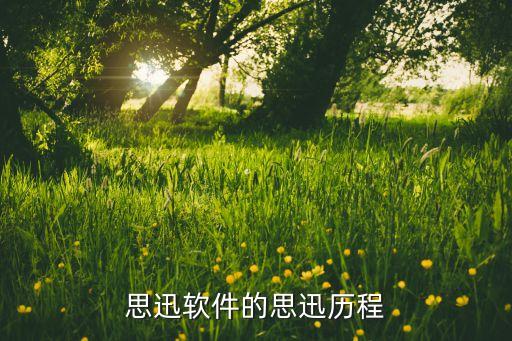 思迅软件的思迅历程