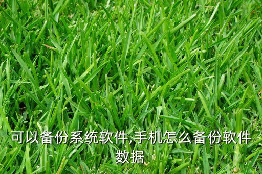 小米可以备份系统软件,手机怎么备份软件数据