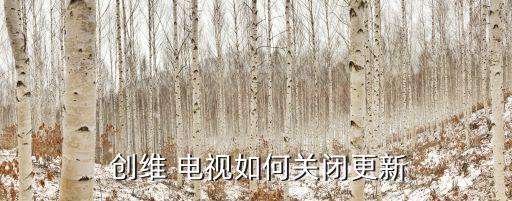  创维 电视如何关闭更新