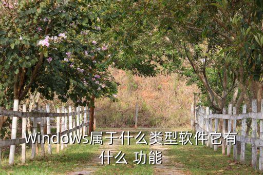 Windows属于什么类型软件它有什么 功能