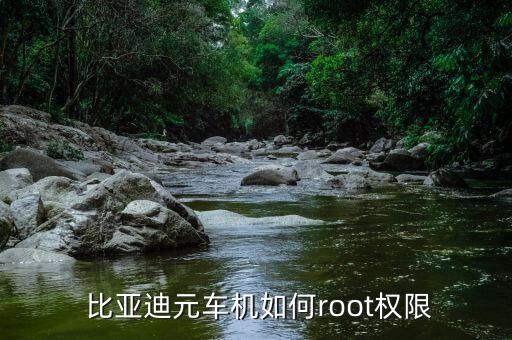  比亚迪元车机如何root权限