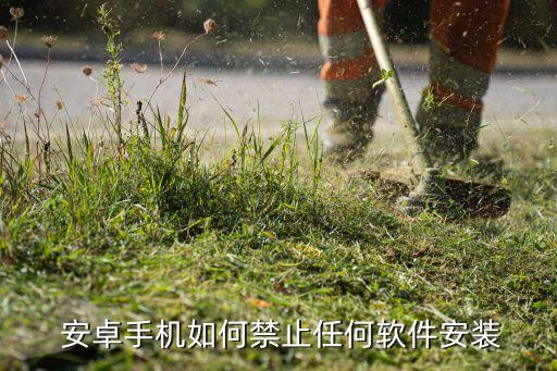  安卓手机如何禁止任何软件安装