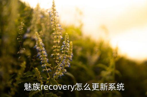 魅族手机可以升级系统软件,oppo手机升级系统软件