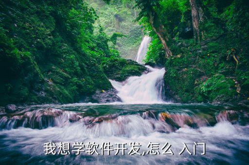我想学软件开发,怎么 入门