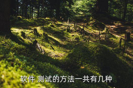 软件 测试的方法一共有几种